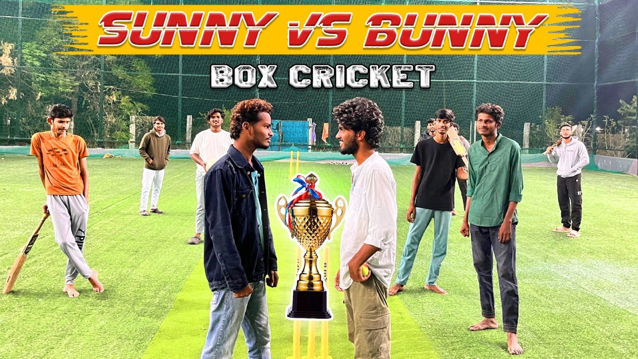Sunny vs bunny | 