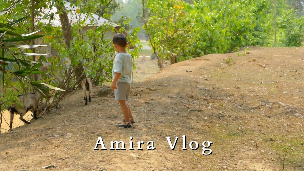 Моя первая поездка в Бангладеш 🇧🇩 | Рыбалка, фрукты, овощи | Жизнь в сельской местности Бангладеш 🪴
