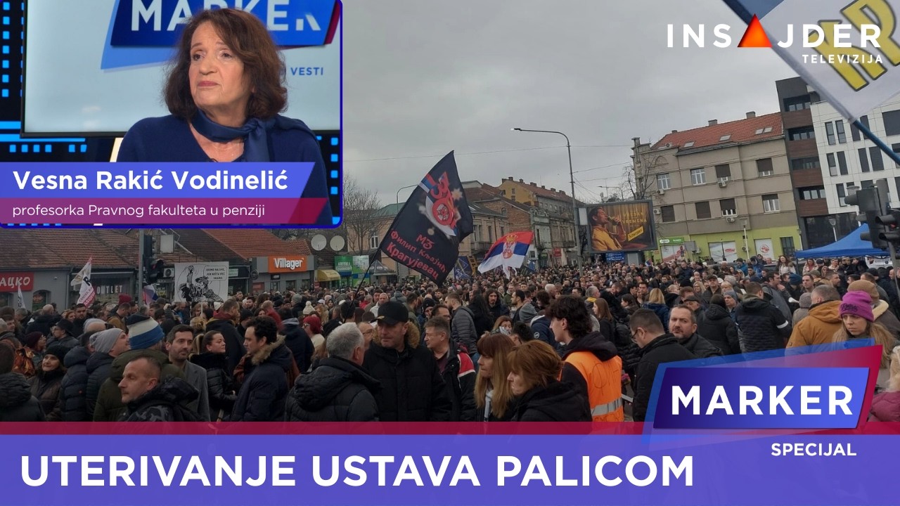 Prof. Rakić Vodinelić: Ustav sam po sebi ne može da ograniči vlast, ali njegova primena može
