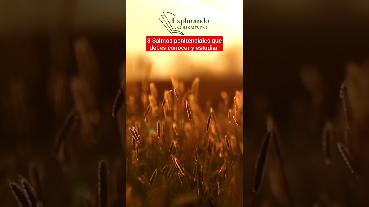 Salmos penitenciales que debes estudiar #salmos