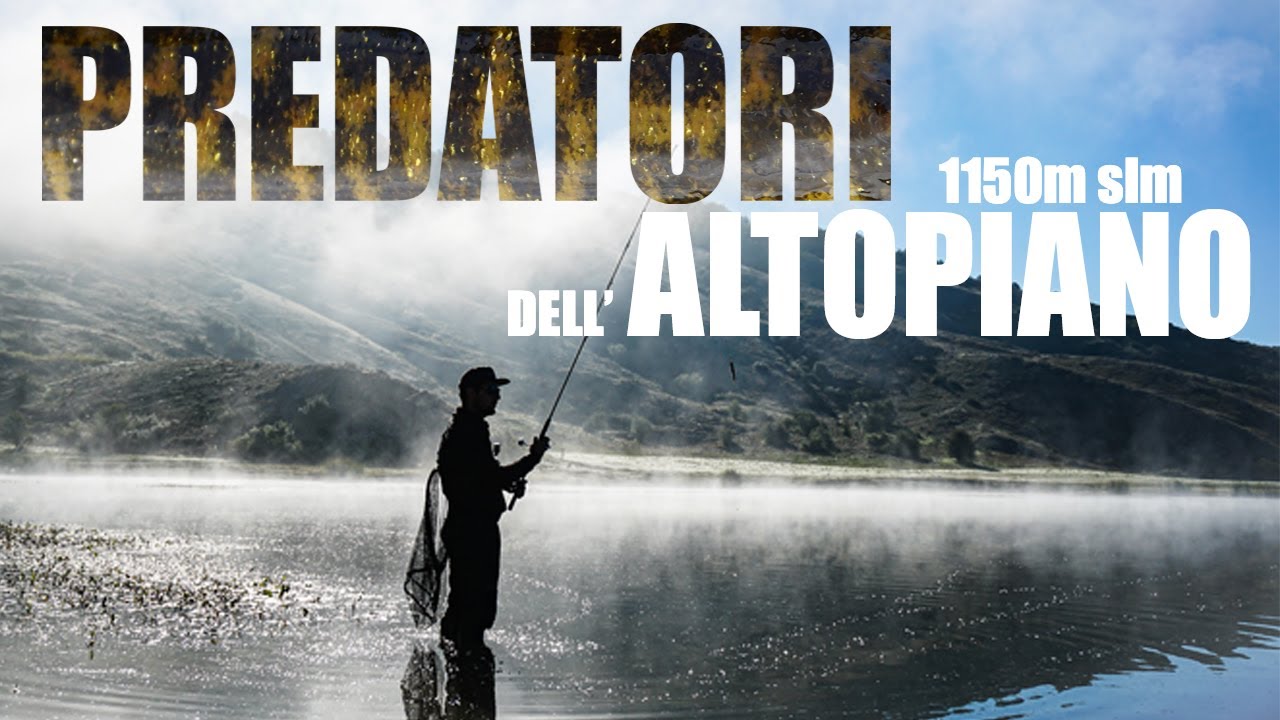 PESCA al LUCCIO TOP WATER a 1150m DI ALTITUDINE in un PARADISO PER LA PESCA a SPINNING !!