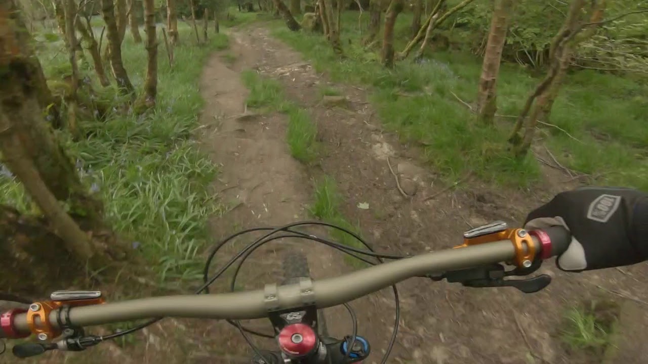 GUISECLIFFE WOOD DH TRACK