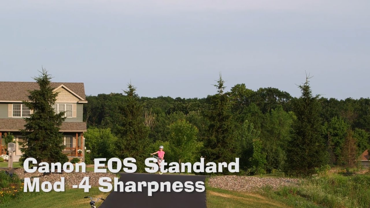 Canon C100 Picture Profiles Sample Video