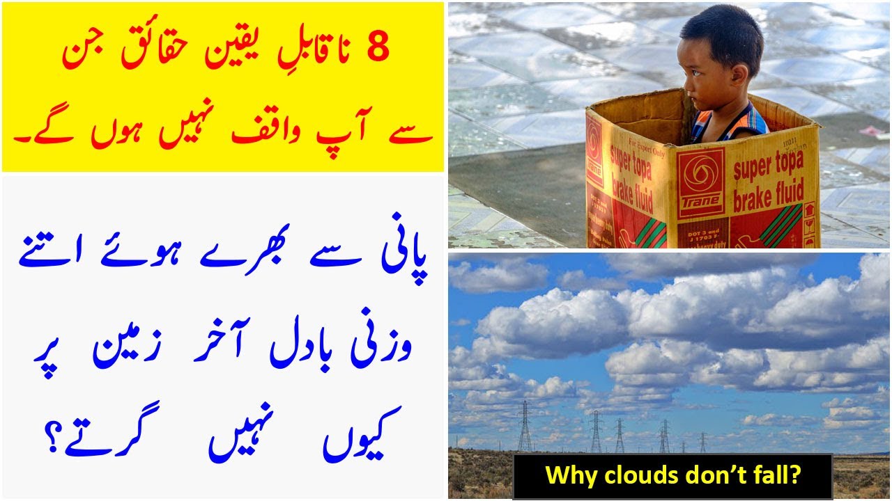 8 Amazing Facts that you don't know in Urdu/Hindi | Dilchasp Maloomat