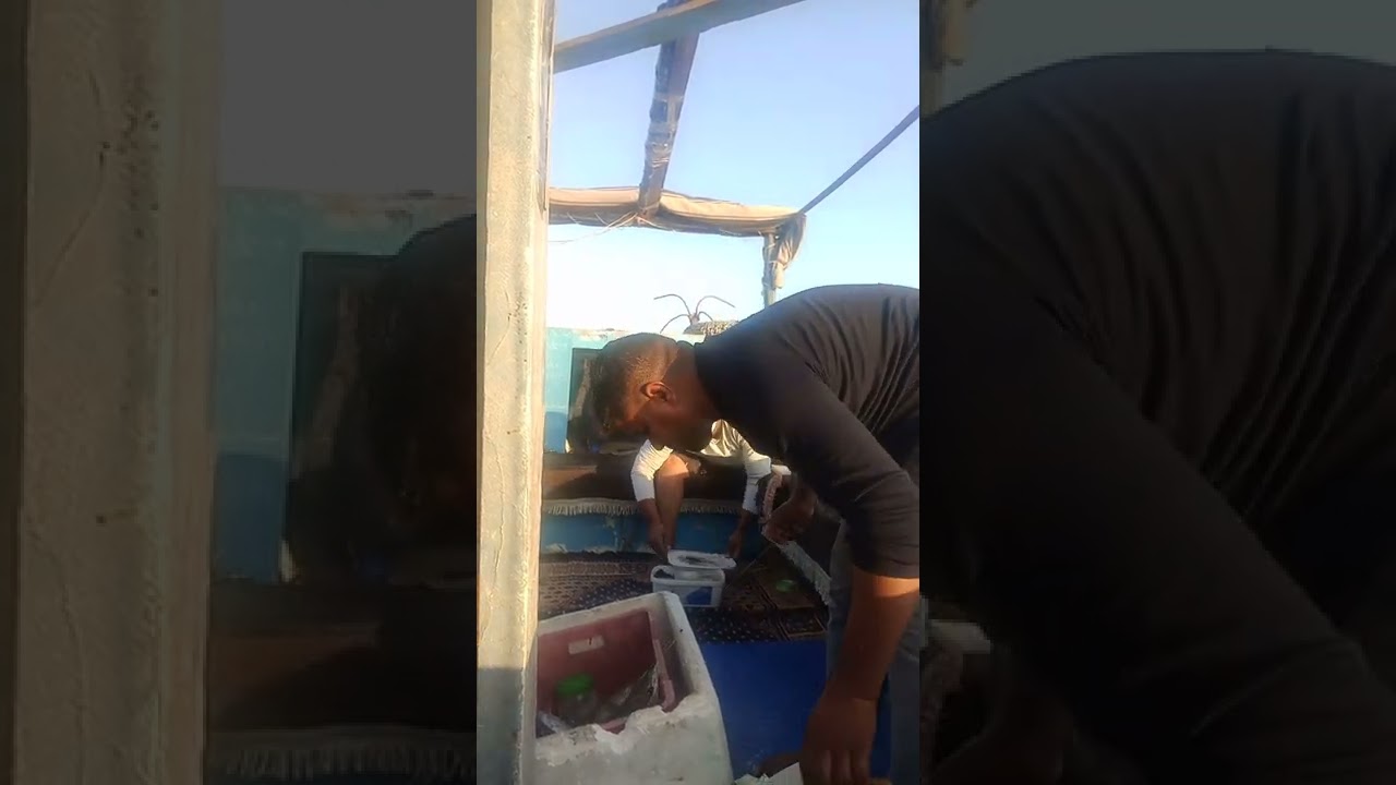 صيد مباشر صيد كشر . مرجان . دراك . صرع . مفرمه انتظروا الجزء الثاني والثالث