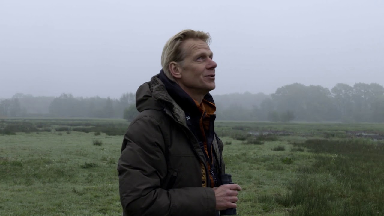 Mysterieuze baltsvlucht van de hemelgeit | TV | Vroege Vogels
