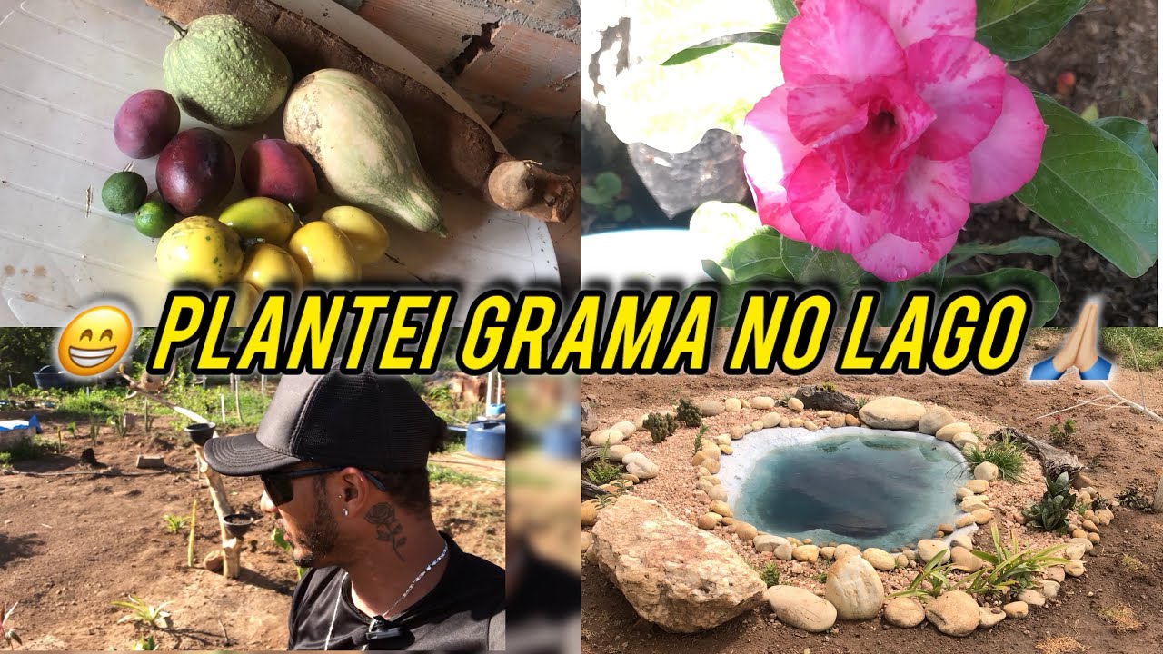 😁 OLHA SO O QUE EU GANHEI !!🙏🏼