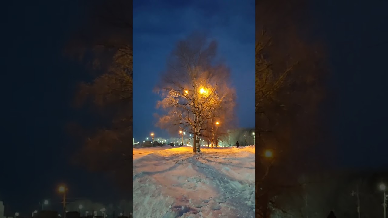 04.02.2026 Сборник#1 Набережная реки Амур и улицы города 