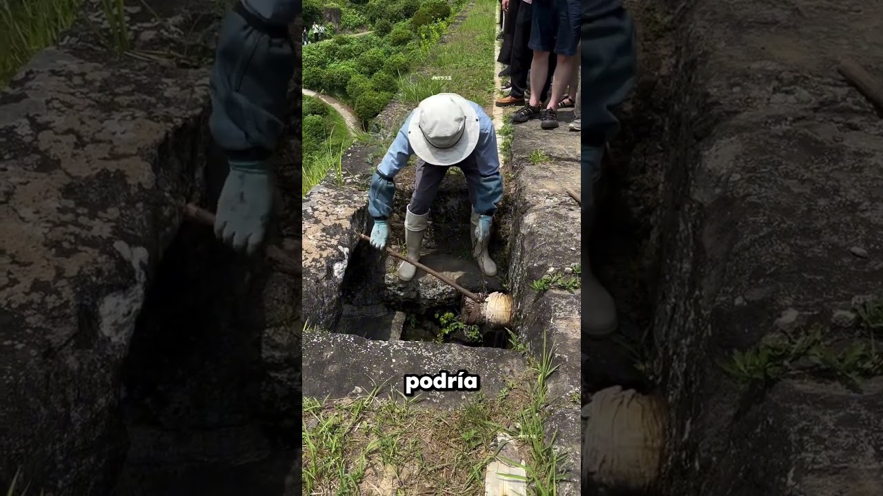 Retira el Tap&oacute;n de la Presa de Agua 😮