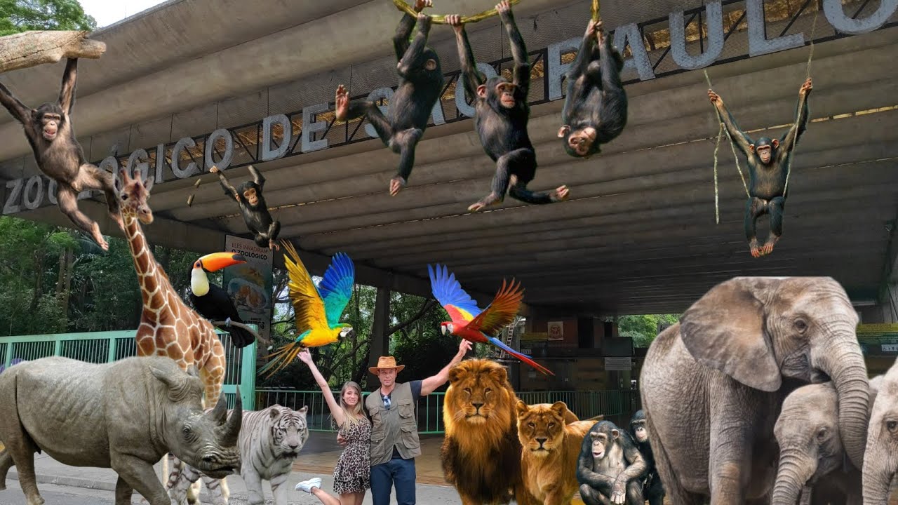 ZOOLÓGICO de SÃO PAULO