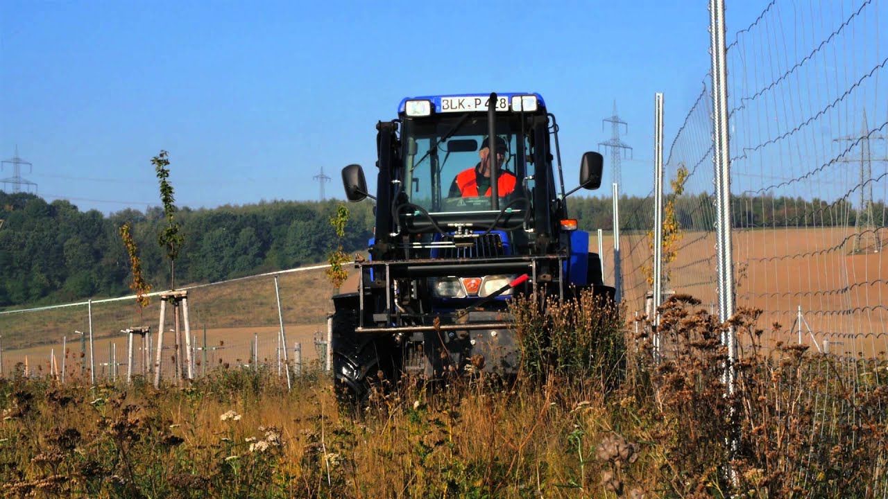 Gartenbau und Landschaftsbau aus Bad Bibra