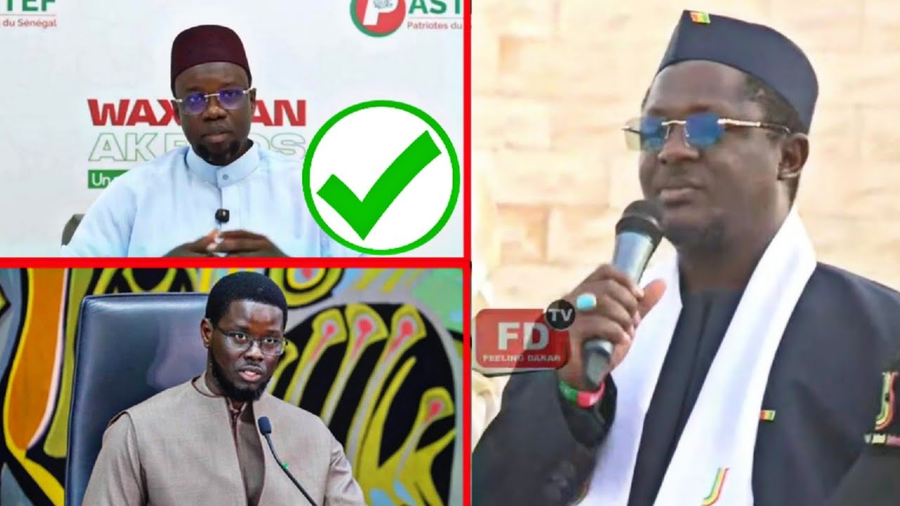 ''Nit kou bax dou Wor...'' Cheikh Bara Ndiaye lance des piques à Diomaye et ensence Sonko