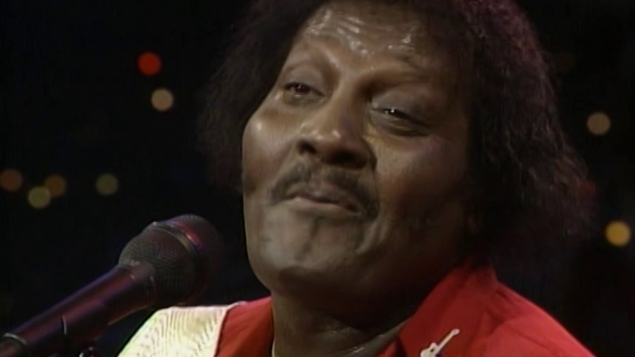 Albert Collins - 