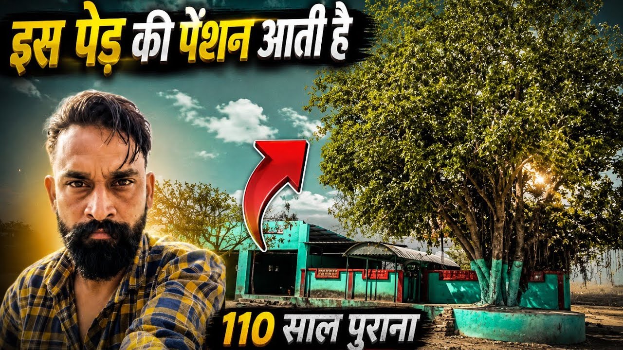 पीर बाबा की दरगाह यहां हर मुरादे पूरी होती है 😲और एक पेड़ है 110 साल पुराना जिस की पेंशन आती है 
