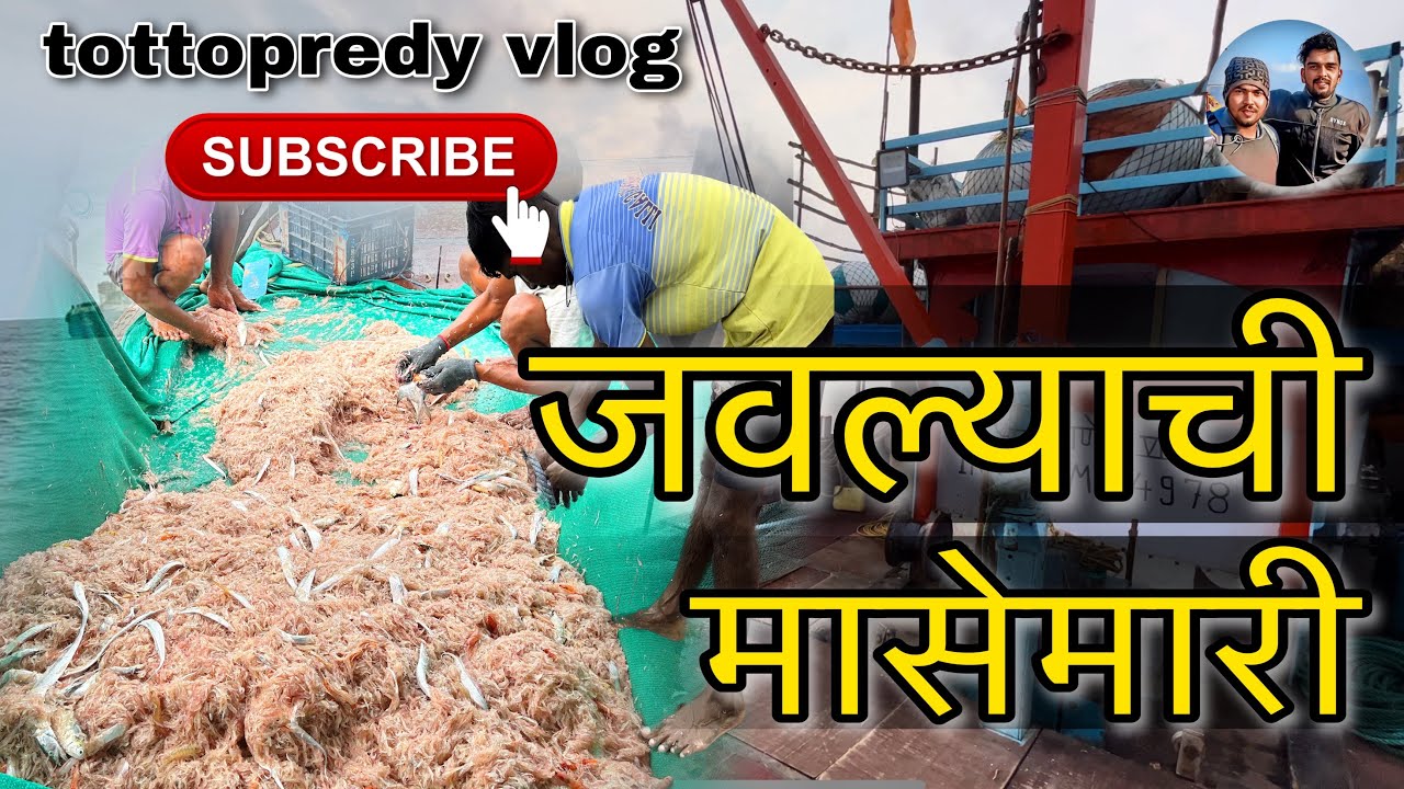 जवल्याची मासेमारी कशी असते बघा आणि काय मेहनत असते #koli #fishing @tottopredyvlog
