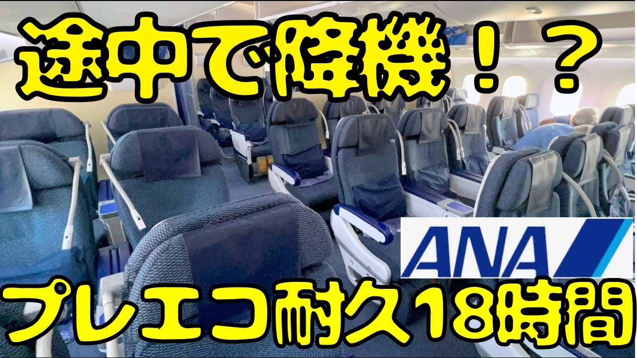 18時間フライト‼︎ロシア迂回で東京→フランクフルト🇩🇪までANAを利用すると...