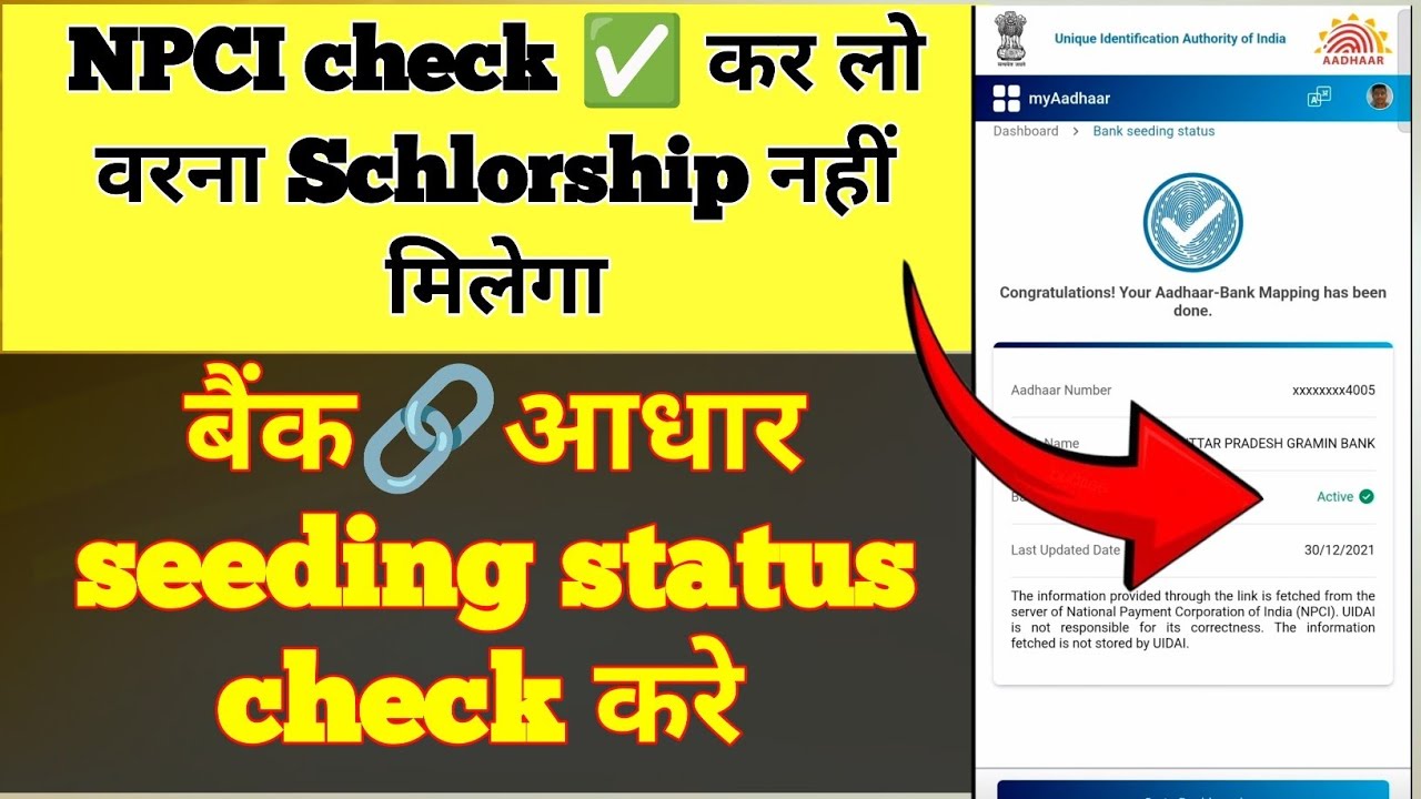 Scholarship नहीं आयेगा ये नहीं check ✅ किए तो. Check NPCI status.