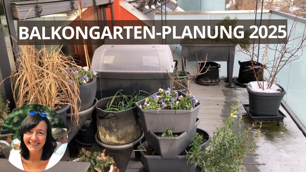 Meine Balkongarten-Planung 2025 für Frühjahr & Sommer + Saatgut Vorstellung
