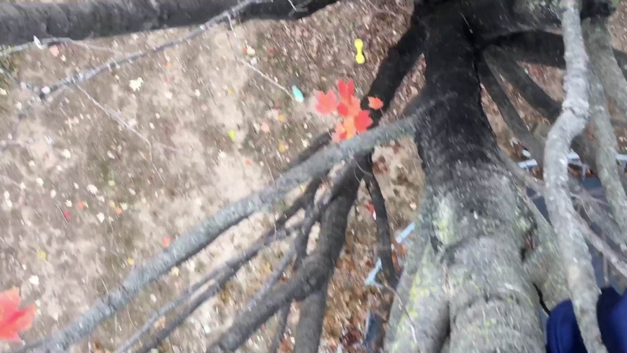 Can a mtn dew survive a 40 foot drop