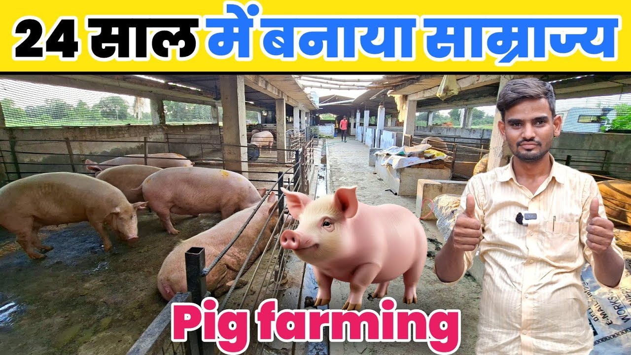 24 साल का युवा किसान बना मिसाल | Pig Farming से करोड़ों की कमाई