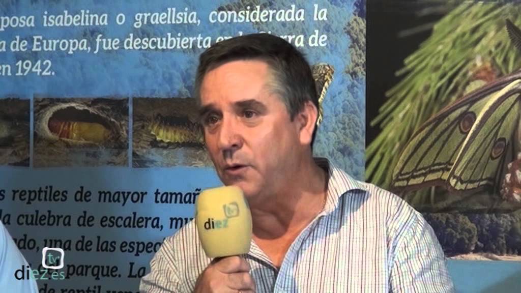 De Pueblo en Feria 2015: La Puerta de Segura (15-7-15)