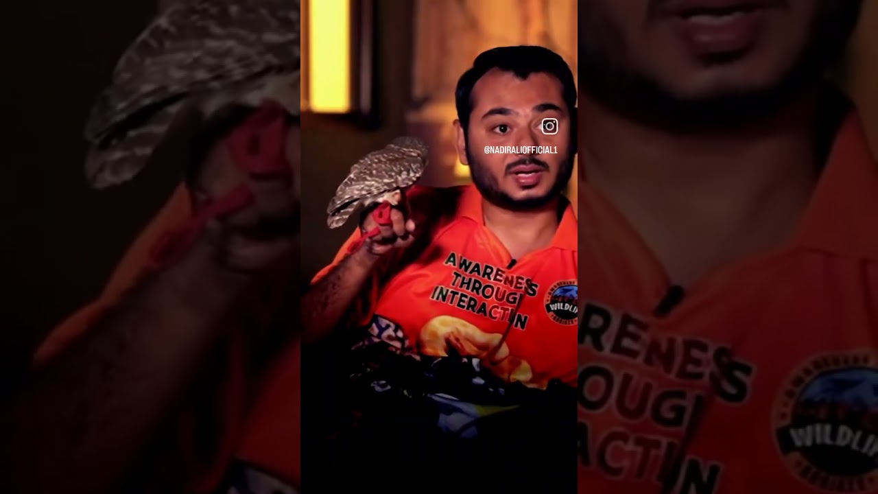 Black magic mai ullu ke pankh or khoon #owl #blackmagic #feather #blood
