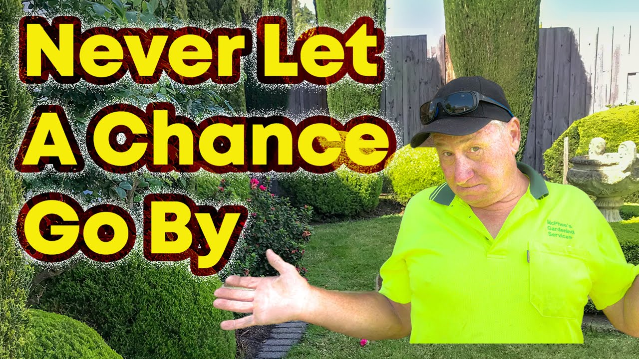 Don’t Let This Golden Opportunity in Lawncare and Gardening Slip Away!