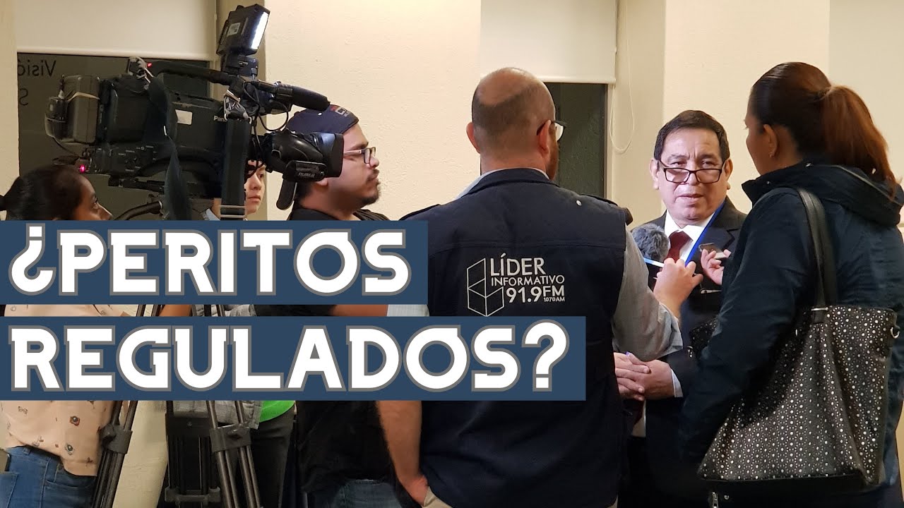 Informe Pericial  y Dictamen Pericial: El Perito Judicial - Formacion Academica y Perfil Profesional