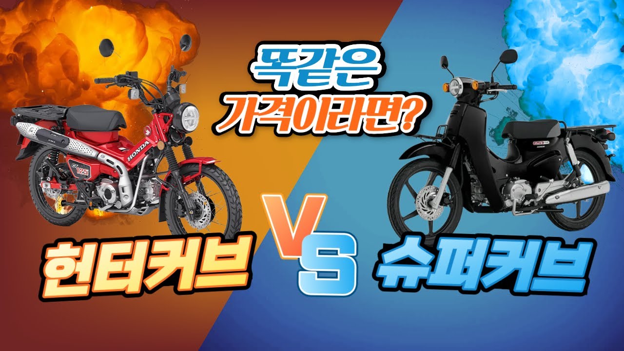 반드시 확인해야 할 슈퍼커브 vs 헌터커브 현명한 선택 기준 4가지!
