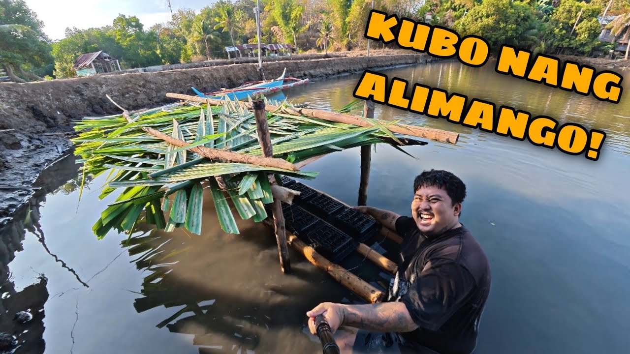 HINDI NA MAIINITAN ANG MGA ALIMANGO! 😍