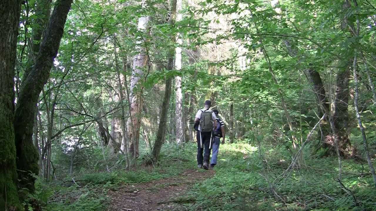 Hyltenäs Kulle, naturreservat. Vandringstips. Swedish nature close to Kinna