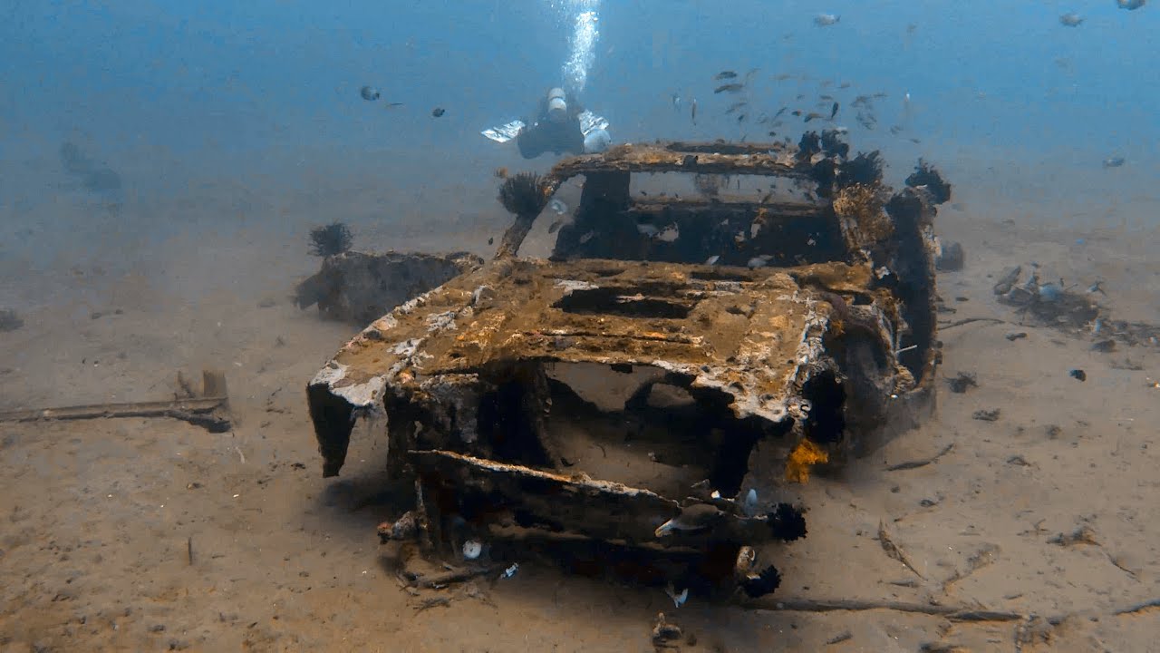 DAUIN MARINE SANCTUARY
