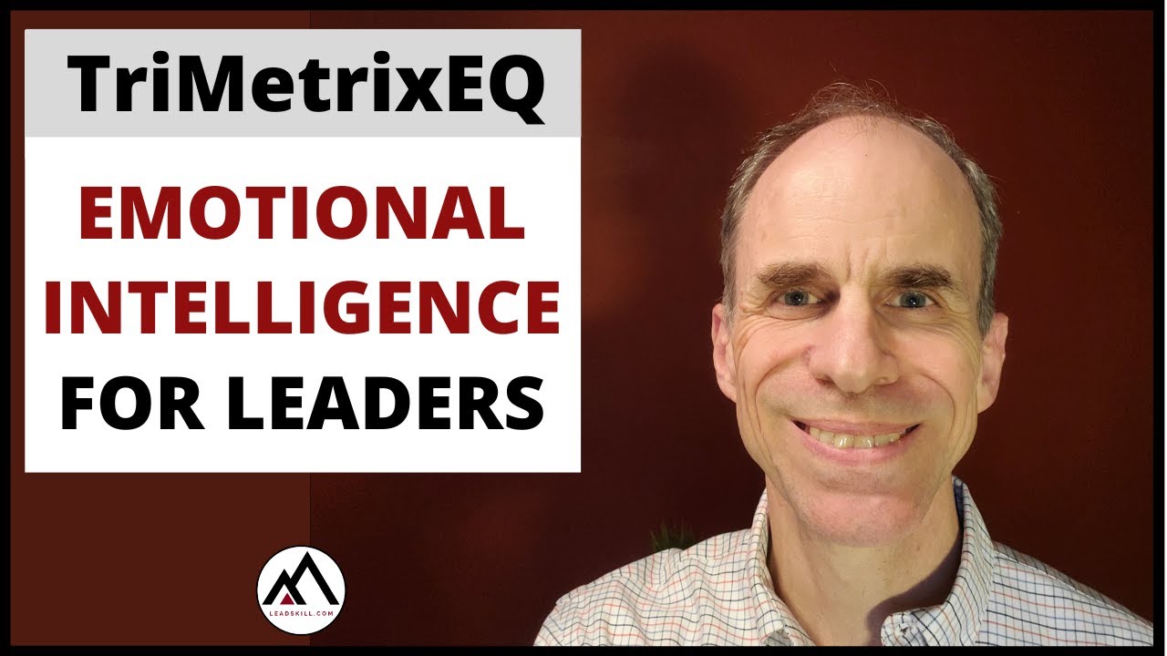 TriMetrixEQ assessment - emotional intelligence for leaders