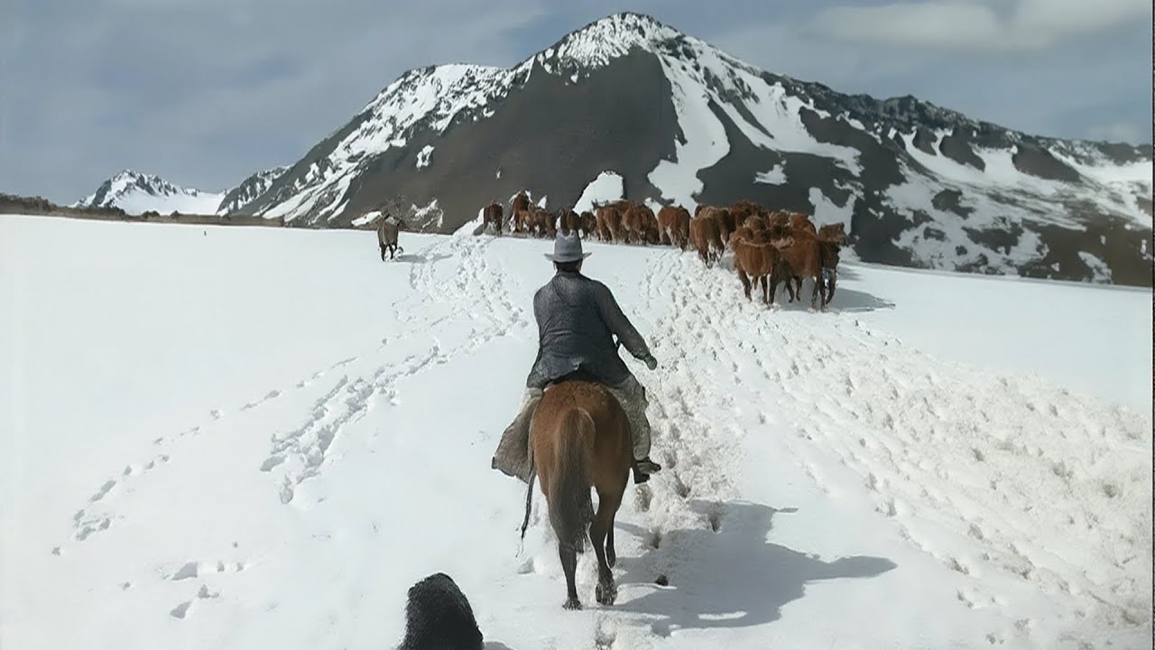 Colono en Tierra del Fuego