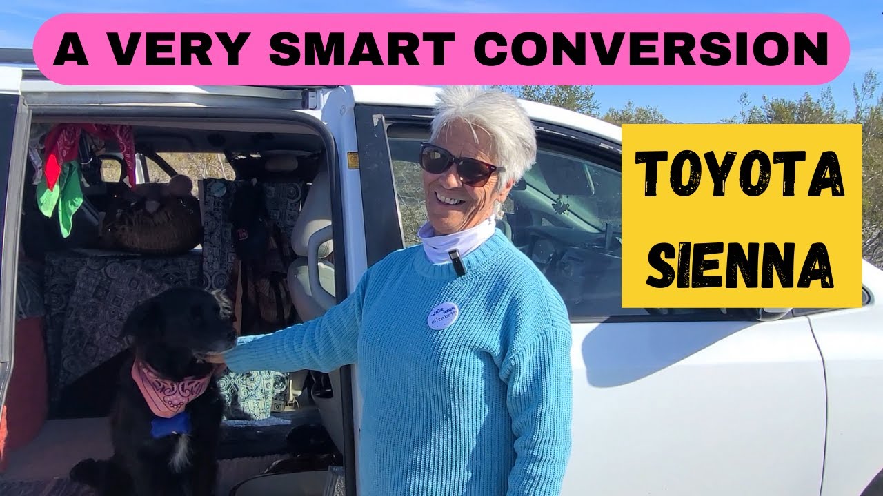 A VERY SMART CONVERSION - TOYOTA SIENNA - AND A DELIGHTFUL LADY AND HER HUMAN COMPANION!
