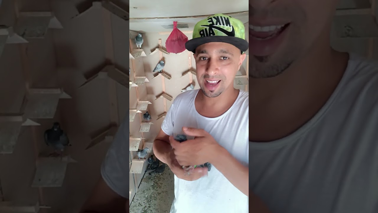 مواصفات حمام المسافة الطويلة