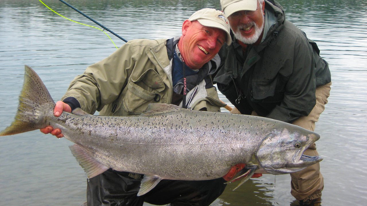Huge Steelhead and Chinook Salmon Fishing Holidays in British Columbia, Canada with FishSkeena.com