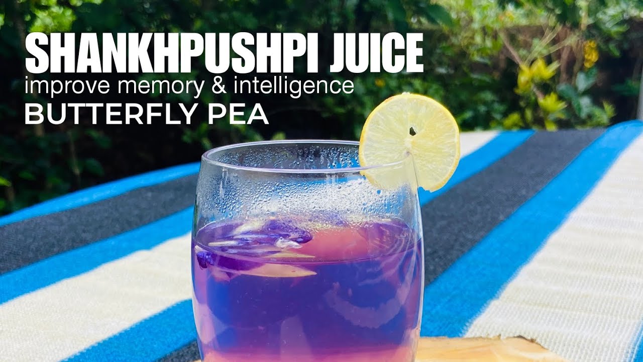 Butterfly Pea Flower Tea Benefits | Healthy Blue Pea Tea | Health Benefits of Blue Pea Flowers