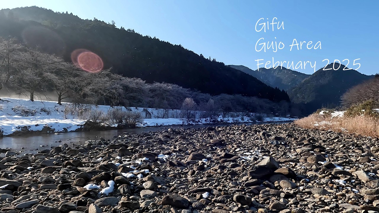 Fly fishing 春を待つ銀鱗 岐阜県郡上地域