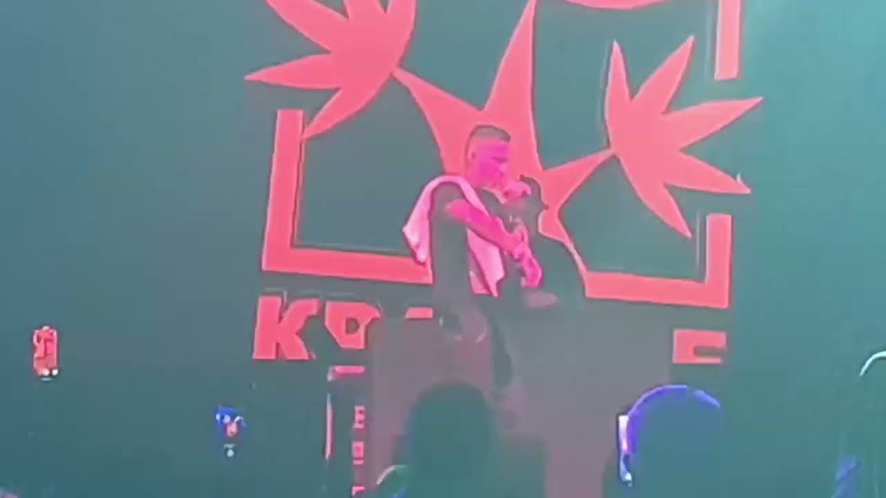 Красное дерево на фестивале Андердог #рэп #хипхоп #русскийрэп #rap #hiphop 
