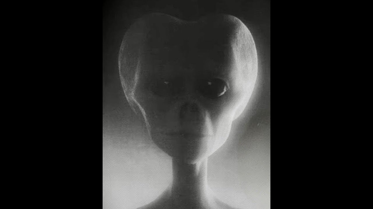 The Amoco alien photograph