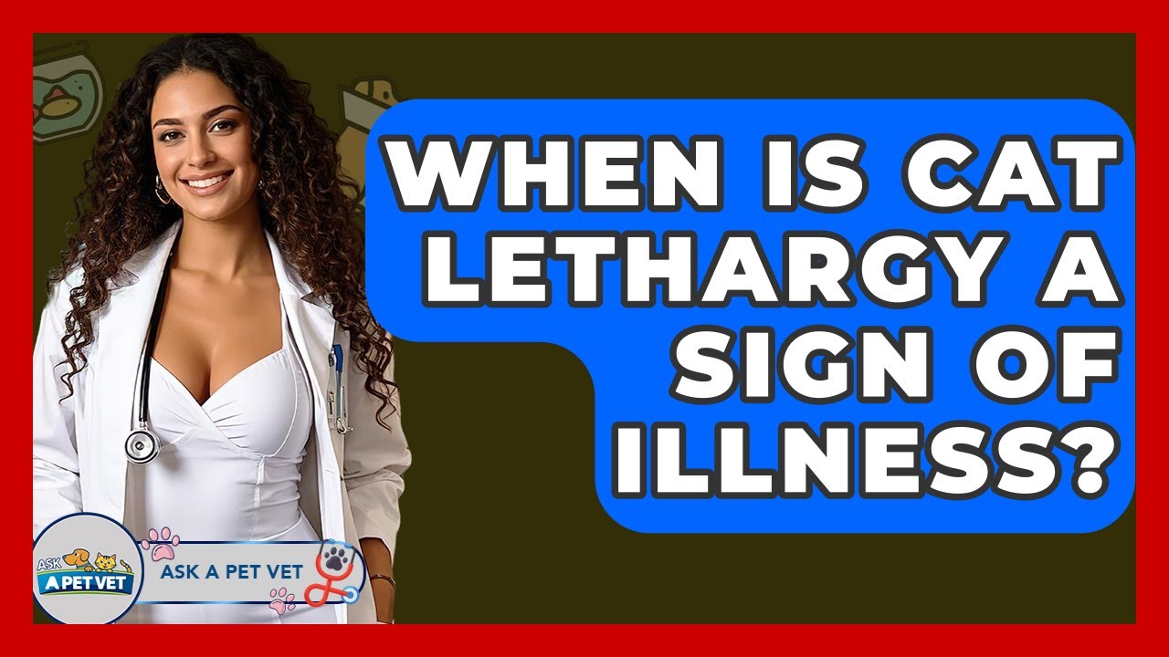 When Is Cat Lethargy A Sign Of Illness? - Ask A Pet Vet