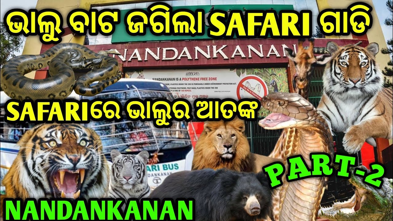 SAFARIରେ ଭାଲୁର ଆତଙ୍କ // TIGER 🐅 SAFARI // NANDANKANAN BHUBANESWAR (ନନ୍ଦନକାନନ) // PART-2