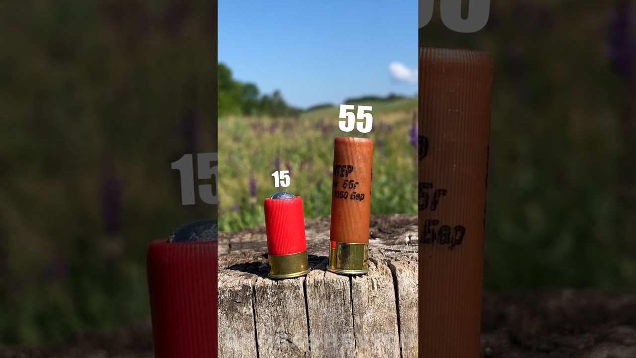 RECOIL AND DAMAGE #shotgun #asmr #bullet #buckshot #gun #hunter #usa #shooting #test