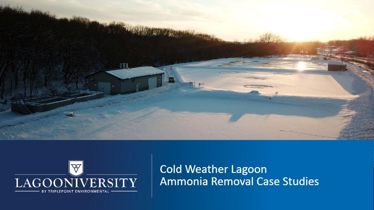 Cold Weather Lagoon Ammonia Removal Case Studies