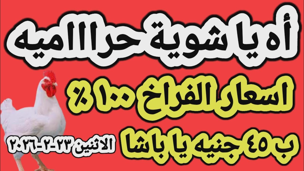 اسعار الفراخ البيضاء اليوم/ سعر الفراخ البيضاء اليوم الاثنين ٢٣-٢-٢٠٢٦ في مصر جمله وقطاعي