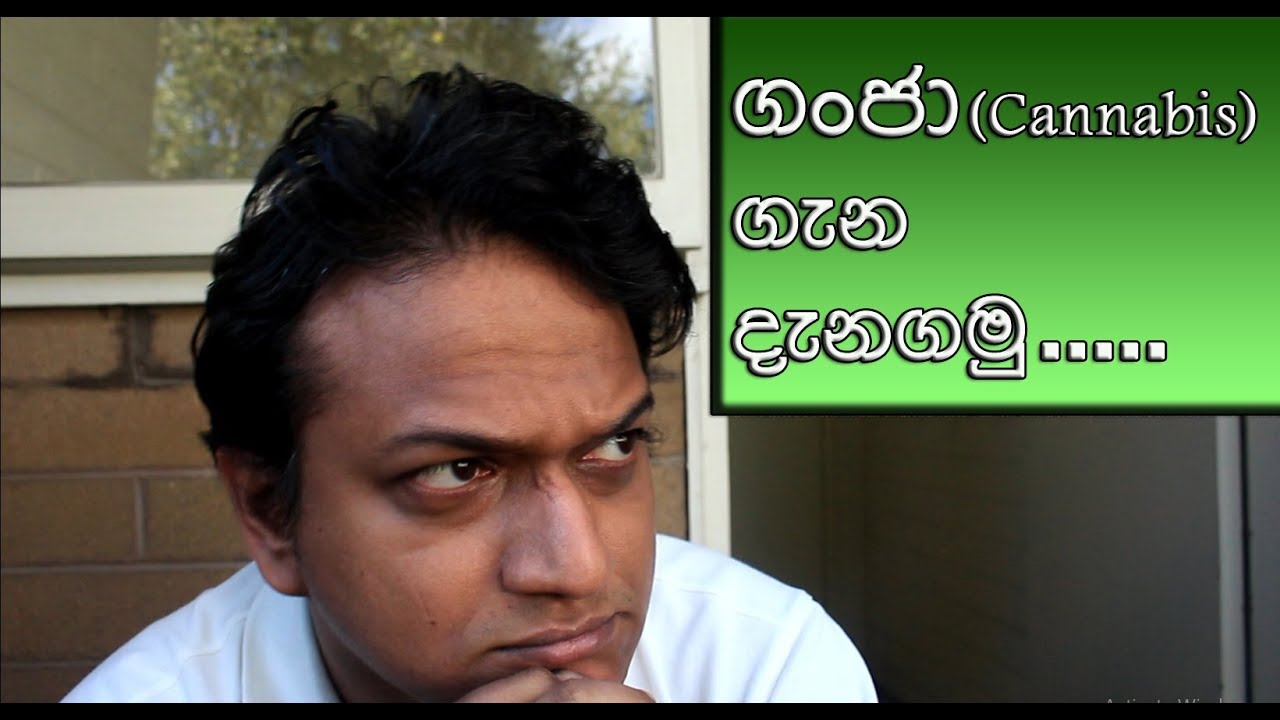 Let's talk About Cannabis | අපි ගංජා ගැන කතාකරමු