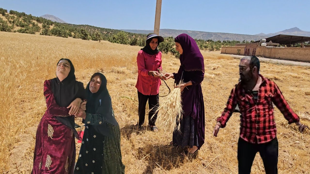 Narges in Search of Freedom: A Neighborhood Worker for Saber.