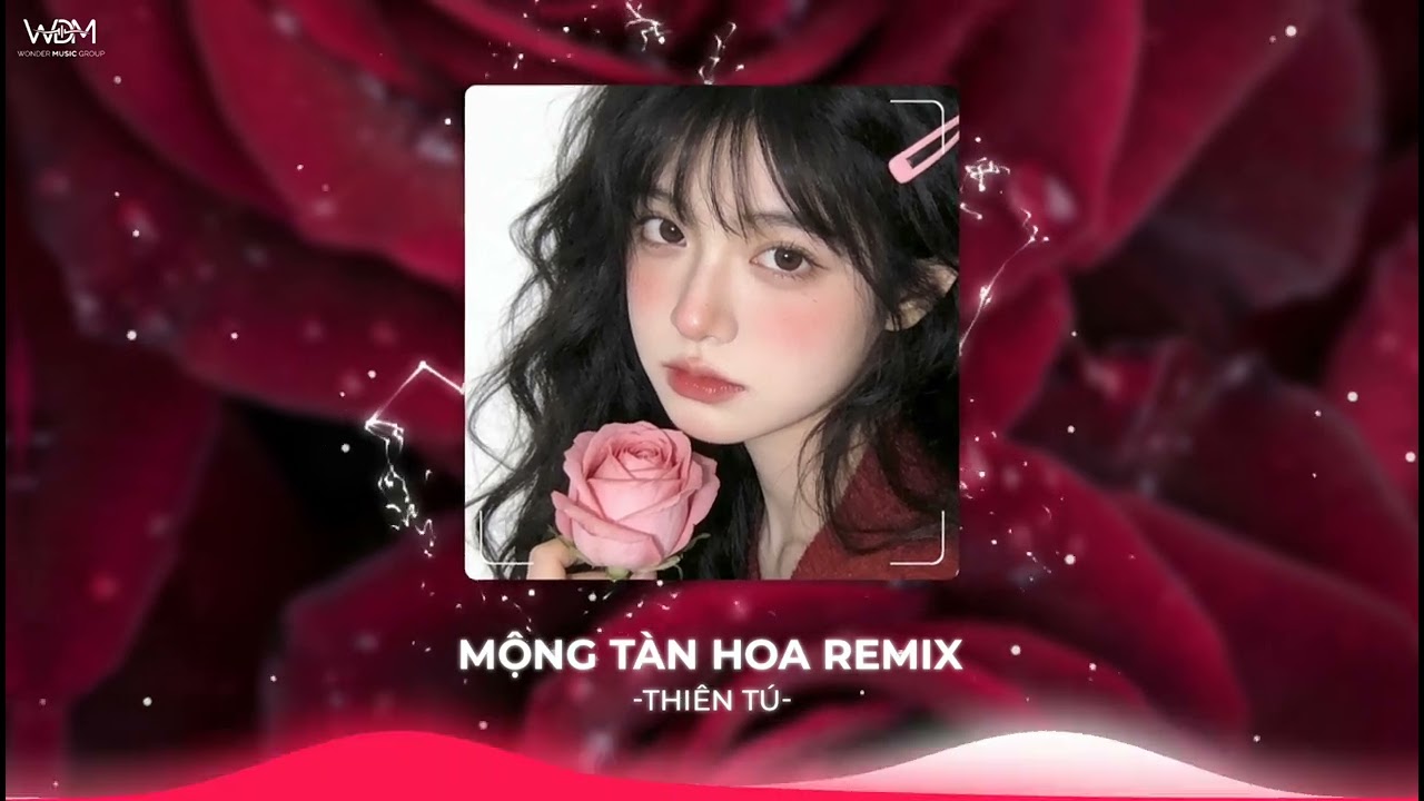 MỘNG TÀN HOA - THIÊN TÚ | HẬN ĐỜI CAY ĐẮNG TIẾNG YÊU THUA LỢI DANH.. NHẠC HOT TIK TOK | WDM