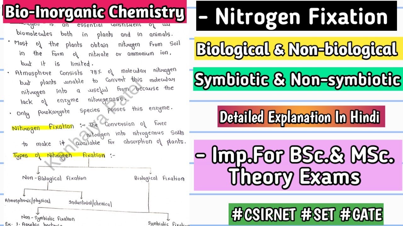 Nitrogen Fixation | Basic Concept | Types | Handwritten Notes | #bscnotes #bsc #mscnotes